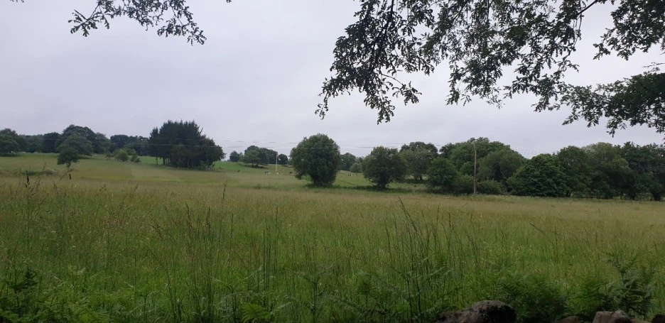 KakaoTalk_20220611_192958913_04.jpg?type=w1