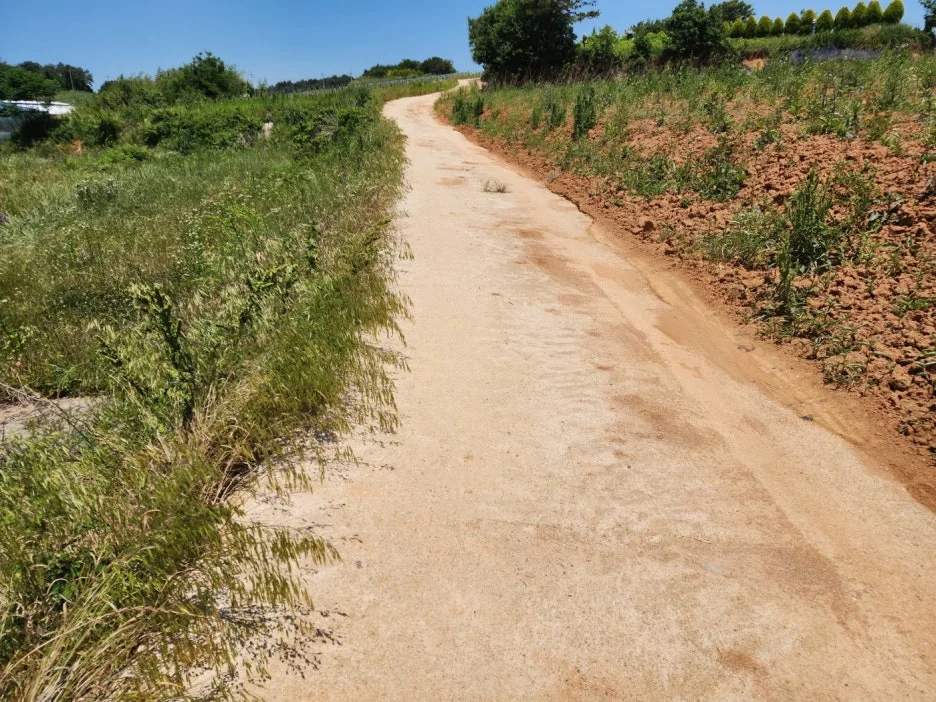 KakaoTalk_20240603_201229636_27.jpg?type=w1