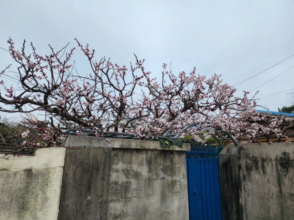 KakaoTalk_20230313_050350703_09.jpg?type=w1