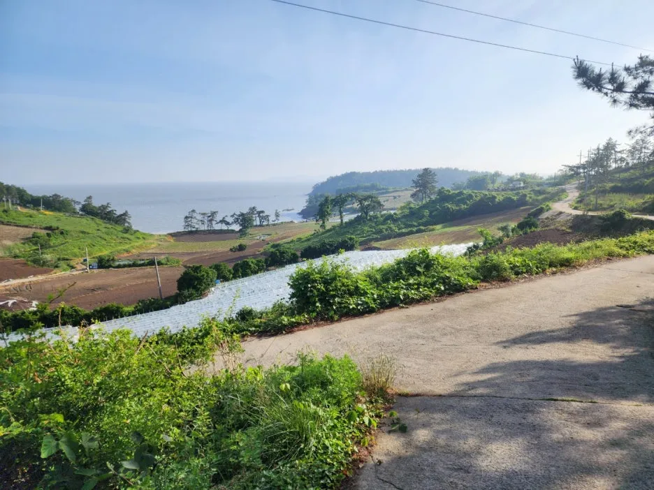 KakaoTalk_20240527_172250853_03.jpg?type=w1