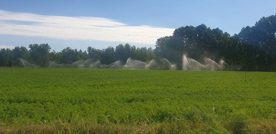 KakaoTalk_20220601_001906912_07.jpg?type=w1