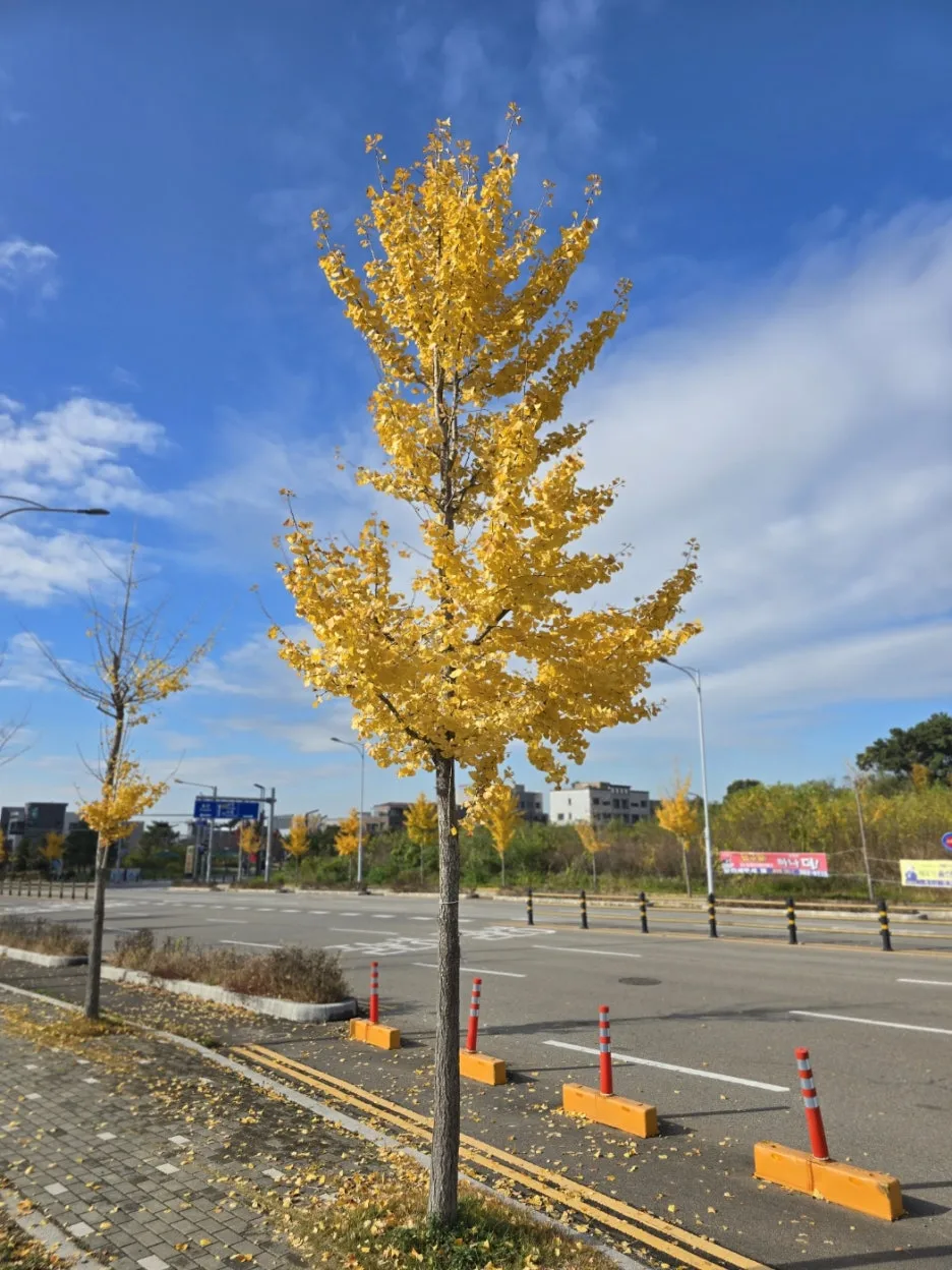 KakaoTalk_20241116_023630166_20.jpg?type=w1