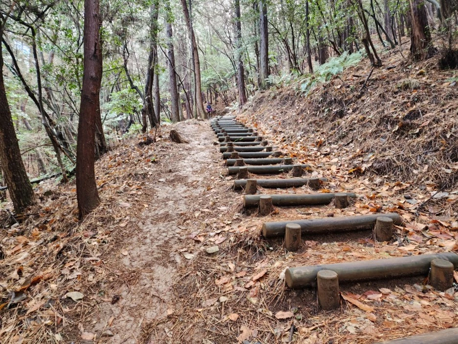 KakaoTalk_20230211_043658778_07.jpg?type=w1