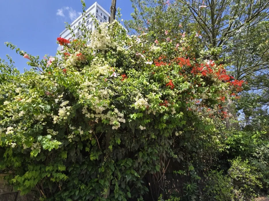 KakaoTalk_20250305_185538406_19.jpg?type=w1