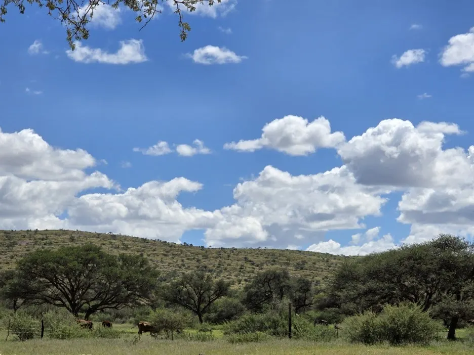 KakaoTalk_20250405_224233993_02.jpg?type=w1