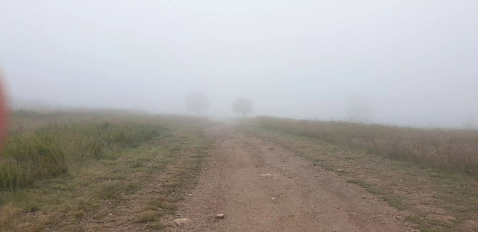 KakaoTalk_20220612_223221237_09.jpg?type=w1