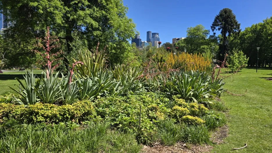 KakaoTalk_20251029_154515053_03.jpg?type=w1