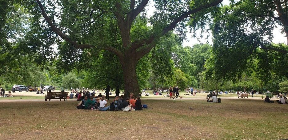 KakaoTalk_20220709_210402051_01.jpg?type=w1