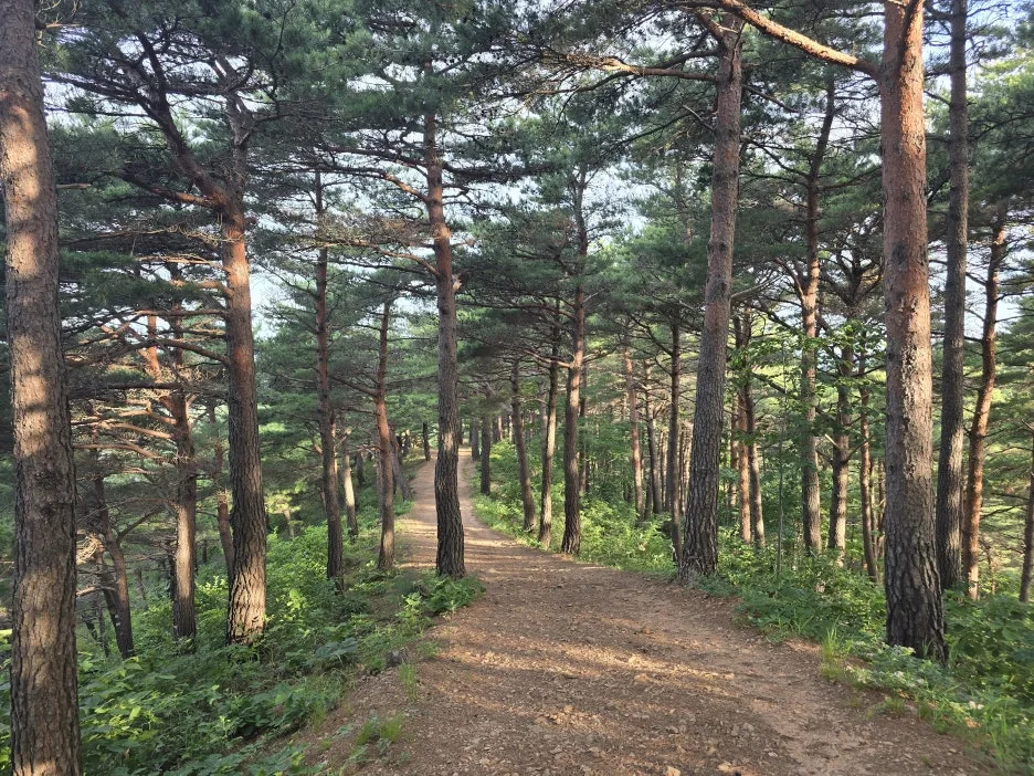 KakaoTalk_20250624_153636444_18.jpg?type=w1