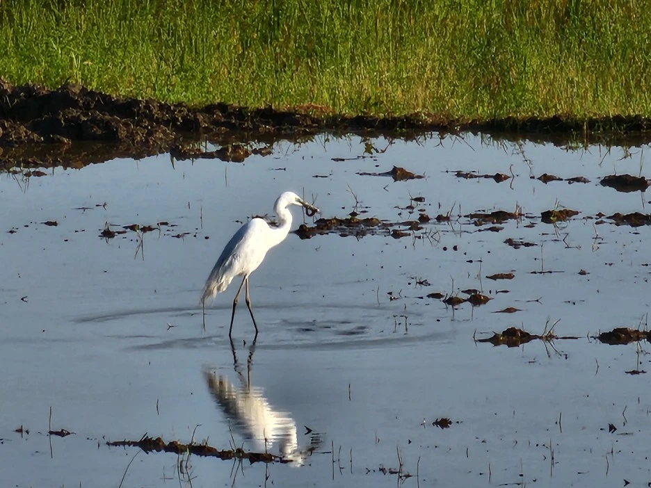 KakaoTalk_20240515_001430344_01.jpg?type=w1