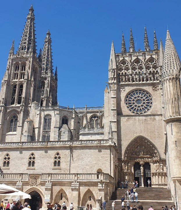 SE-0355d41e-0b8f-4527-9f4b-bc3c827d03d8.jpg?type=w1