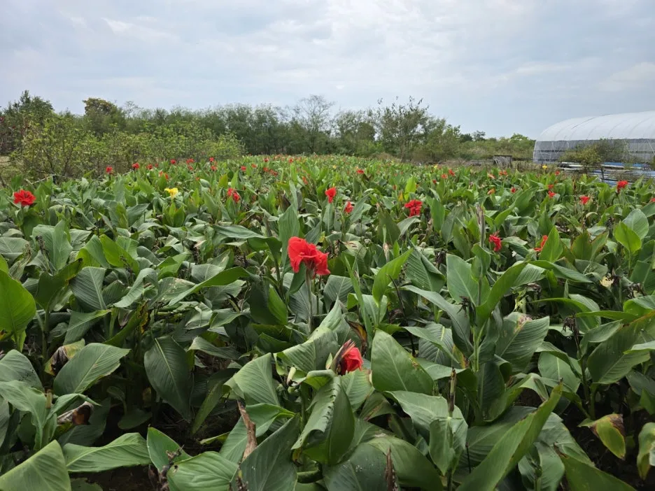 KakaoTalk_20241023_173909117_09.jpg?type=w1