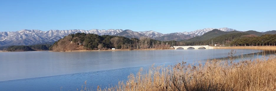 SE-c8183a5b-d2a0-4469-949c-8a5b7785309a.jpg?type=w1