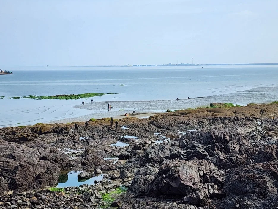 KakaoTalk_20240605_161917270_23.jpg?type=w1