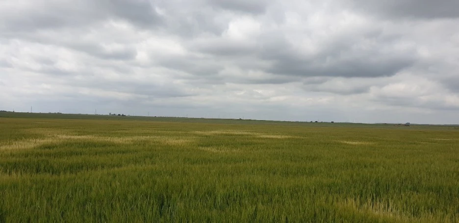 KakaoTalk_20220531_012108351_03.jpg?type=w1