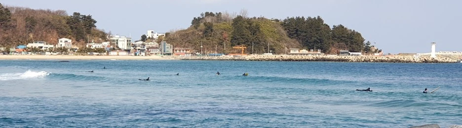 SE-7b735e1b-2219-4b0e-9f8d-2d297420814d.jpg?type=w1