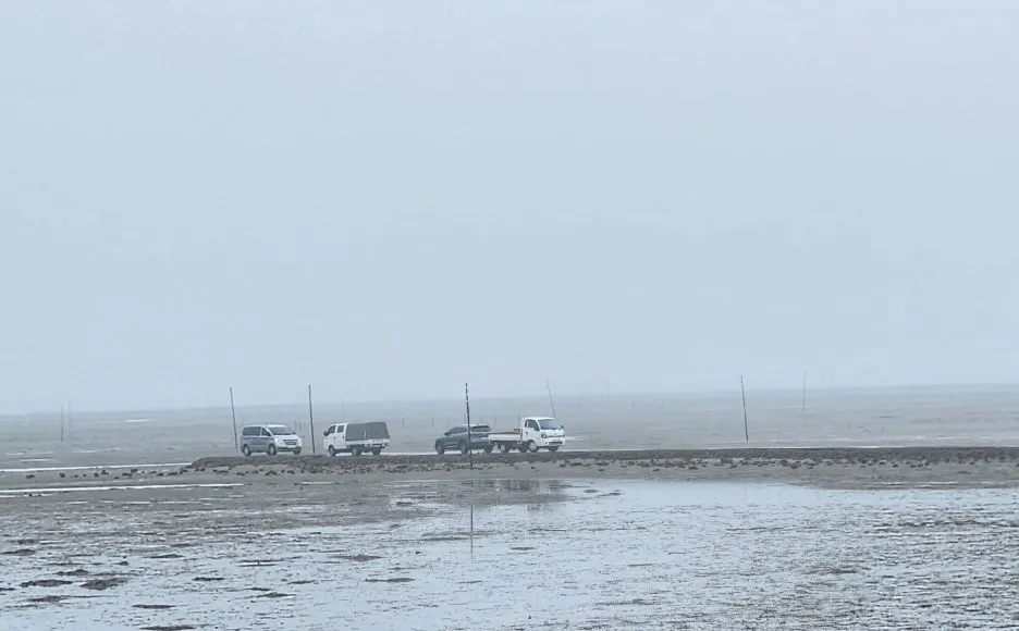 SE-ab72ea83-11c4-466e-8c2c-3a03aeb1d22c.jpg?type=w1