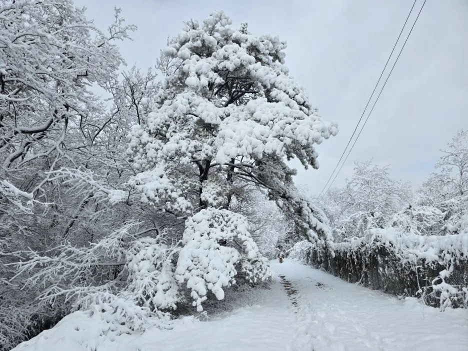 KakaoTalk_20241129_051049908_08.jpg?type=w1