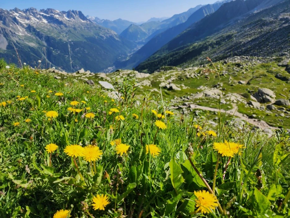 KakaoTalk_20230709_101743349_08.jpg?type=w1