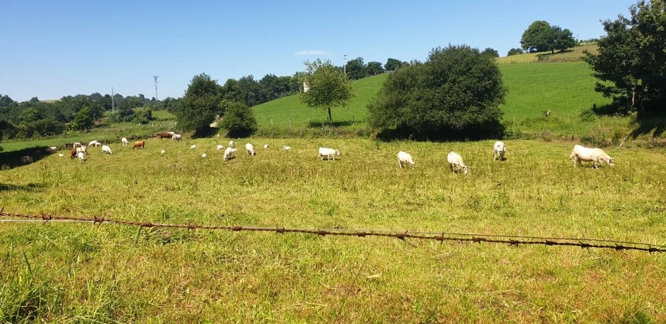 KakaoTalk_20220610_223526536_08.jpg?type=w1