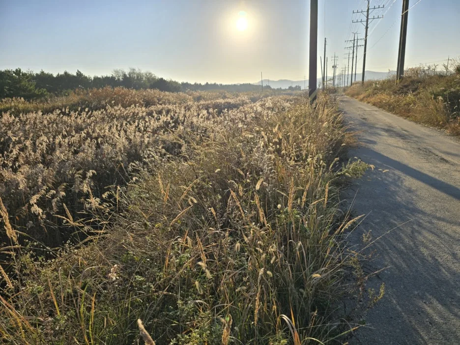 KakaoTalk_20241108_062645057_02.jpg?type=w1