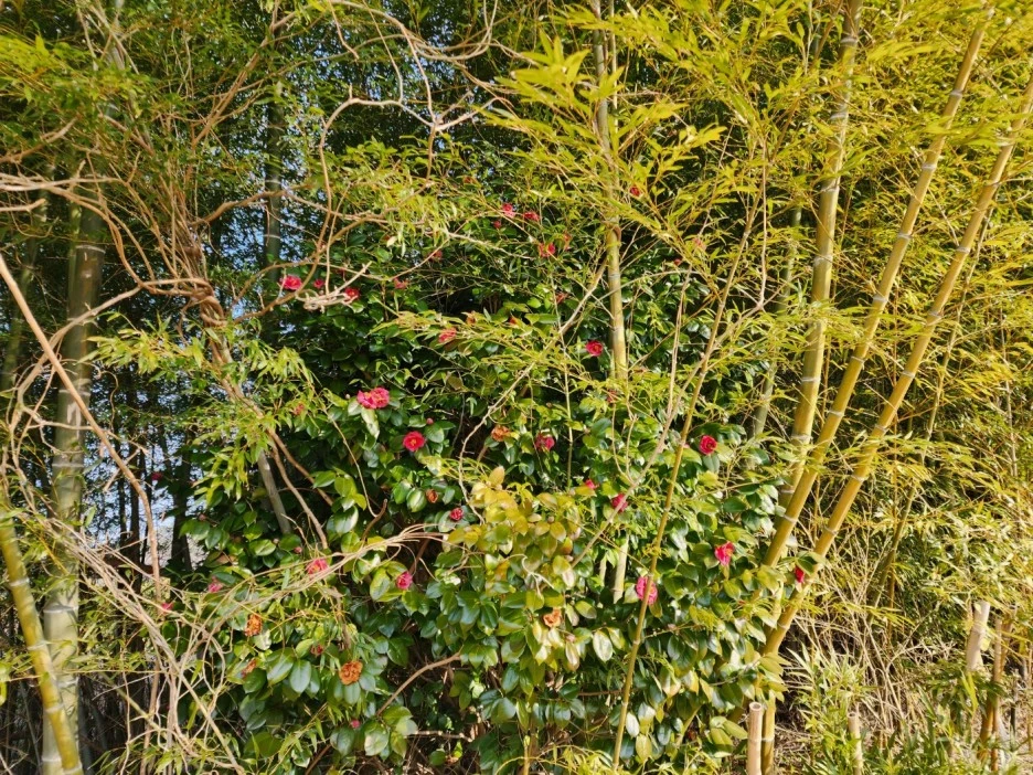 KakaoTalk_20230210_044009770_07.jpg?type=w1