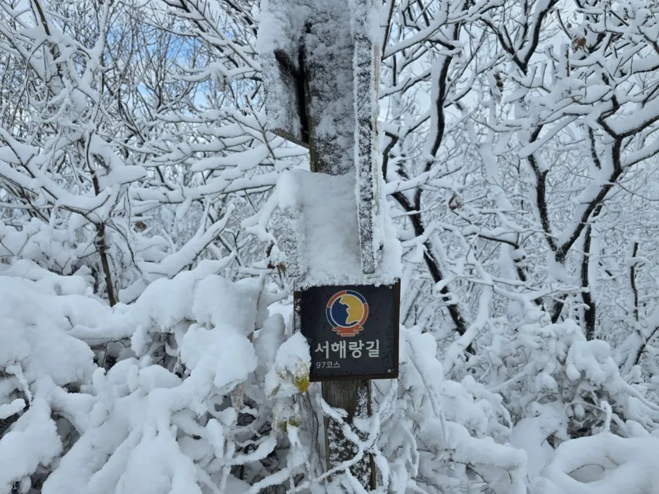 KakaoTalk_20241129_050938052_22.jpg?type=w1