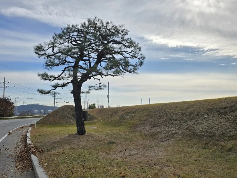 KakaoTalk_20241120_031352450_21.jpg?type=w1