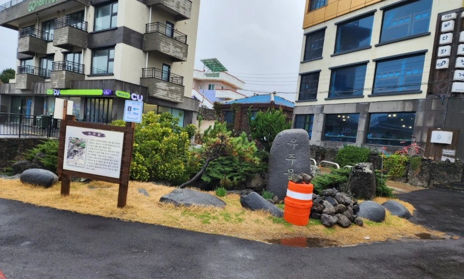 SE-4b2550e3-6080-4eae-bda8-7fc2bd72c125.jpg?type=w1