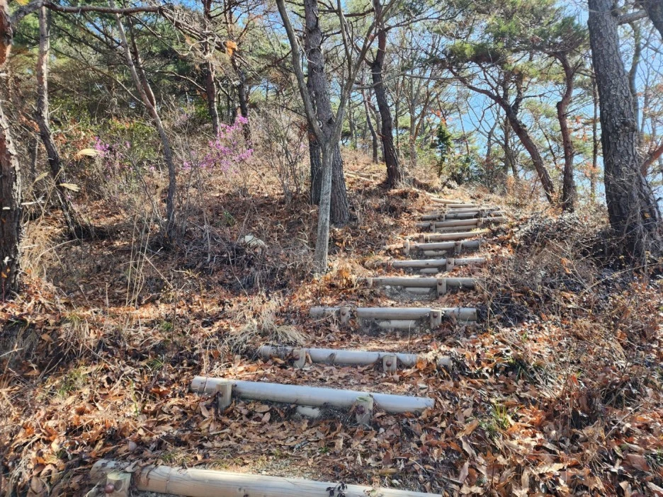 KakaoTalk_20230329_013641422_06.jpg?type=w1