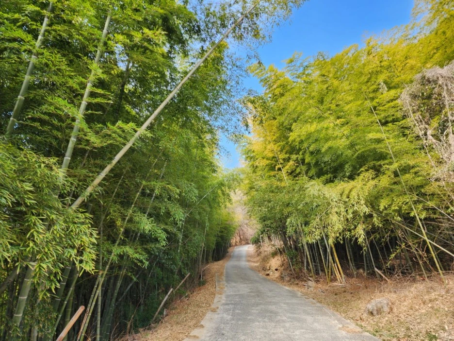 KakaoTalk_20230210_044009770_14.jpg?type=w1