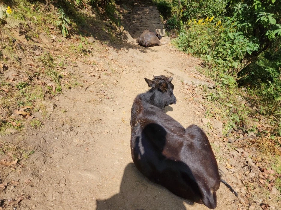 KakaoTalk_20221117_073228420_09.jpg?type=w1