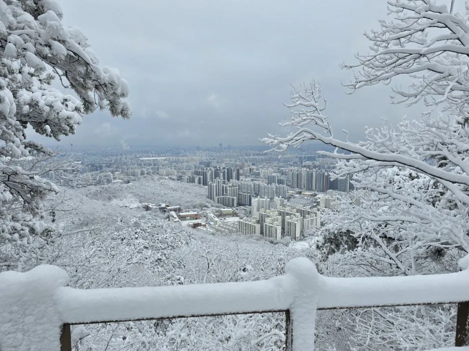 KakaoTalk_20241129_050938052_24.jpg?type=w1