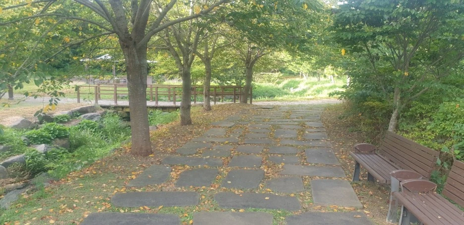 KakaoTalk_20220831_114502009_04.jpg?type=w1