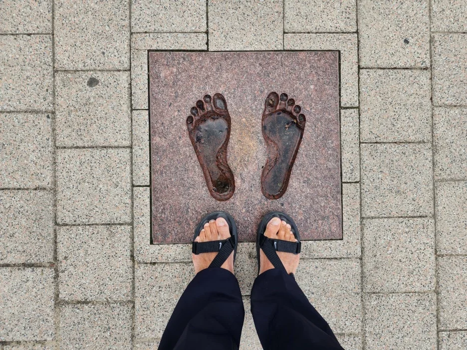 SE-a439a366-810c-4db9-94c5-b3b497b75b5e.jpg?type=w1