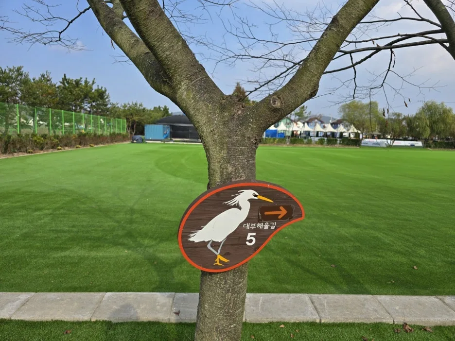 KakaoTalk_20241122_010459115_17.jpg?type=w1