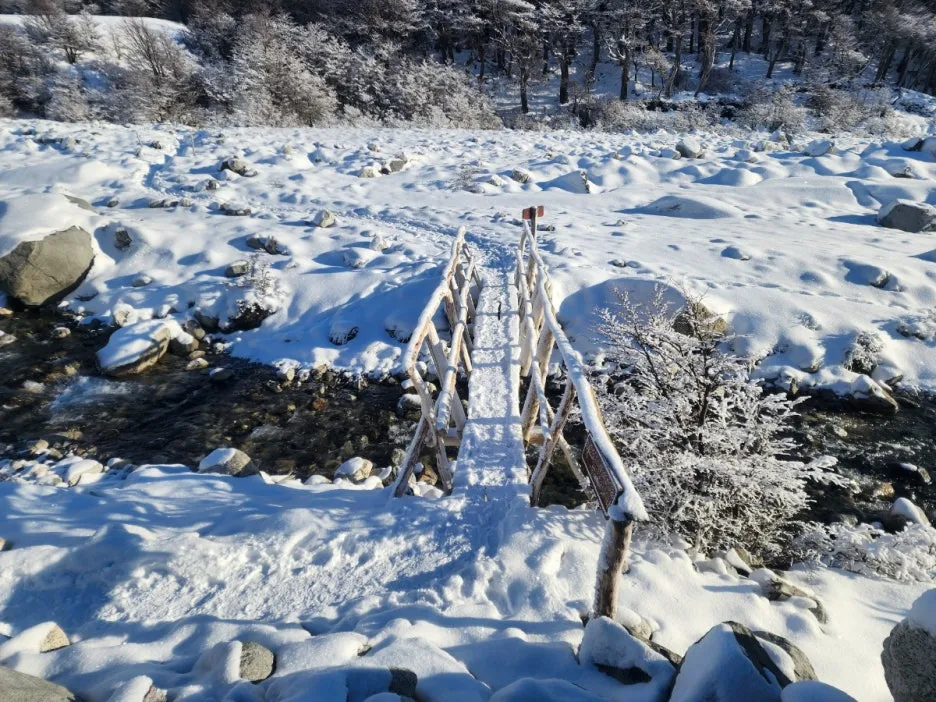 KakaoTalk_20240809_044830248_22.jpg?type=w1