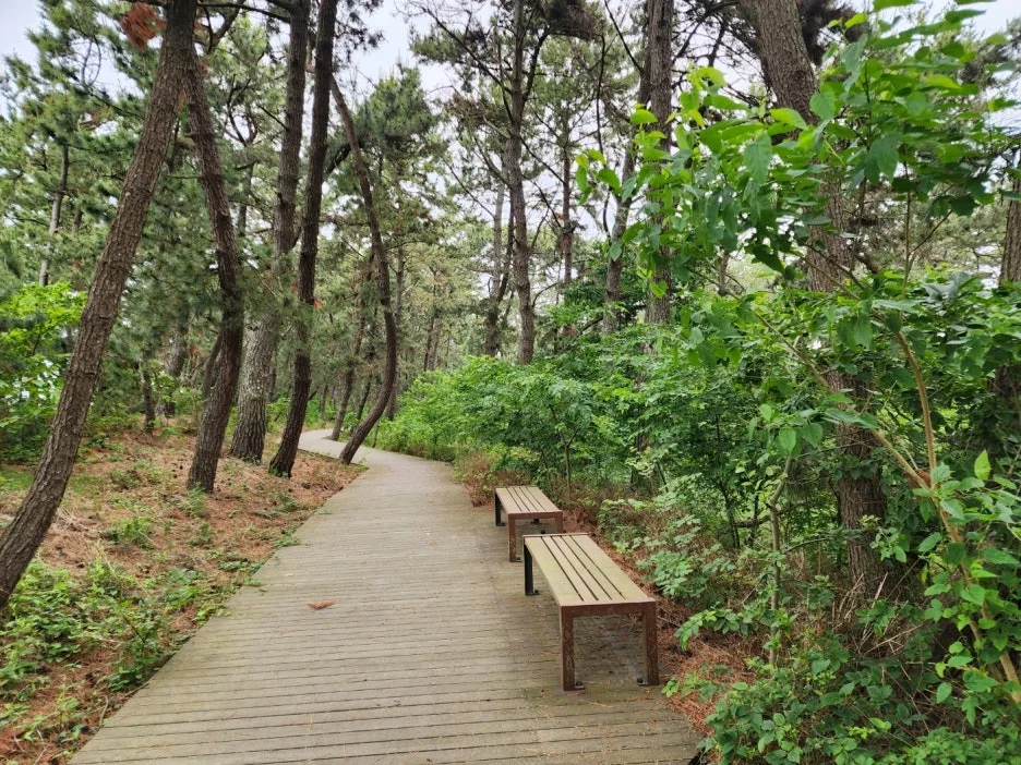 KakaoTalk_20240601_150104531_17.jpg?type=w1