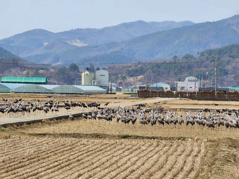 KakaoTalk_20230317_214256268_15.jpg?type=w1