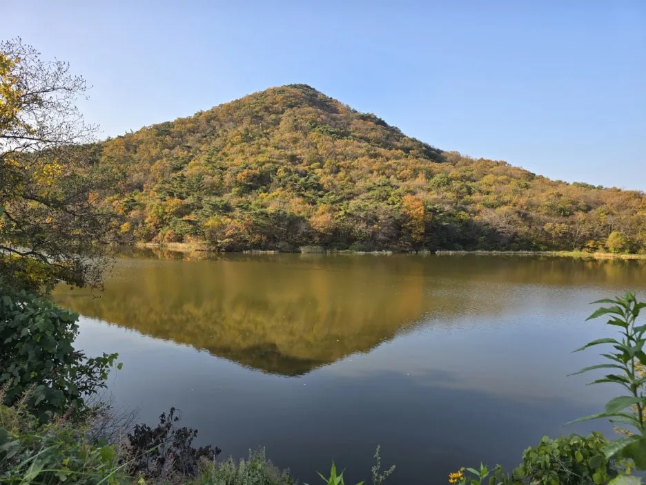 KakaoTalk_20241113_031257885_01.jpg?type=w1