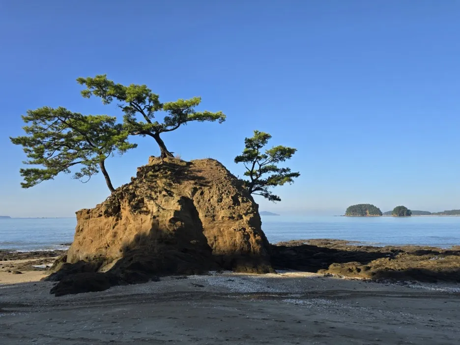 KakaoTalk_20241025_022237268_12.jpg?type=w1