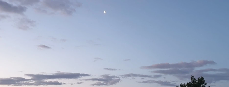 SE-455aff93-48f5-4ebe-b49c-0084caa5f8b9.jpg?type=w1