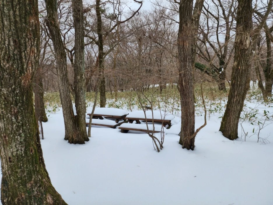 KakaoTalk_20230105_062519860_06.jpg?type=w1