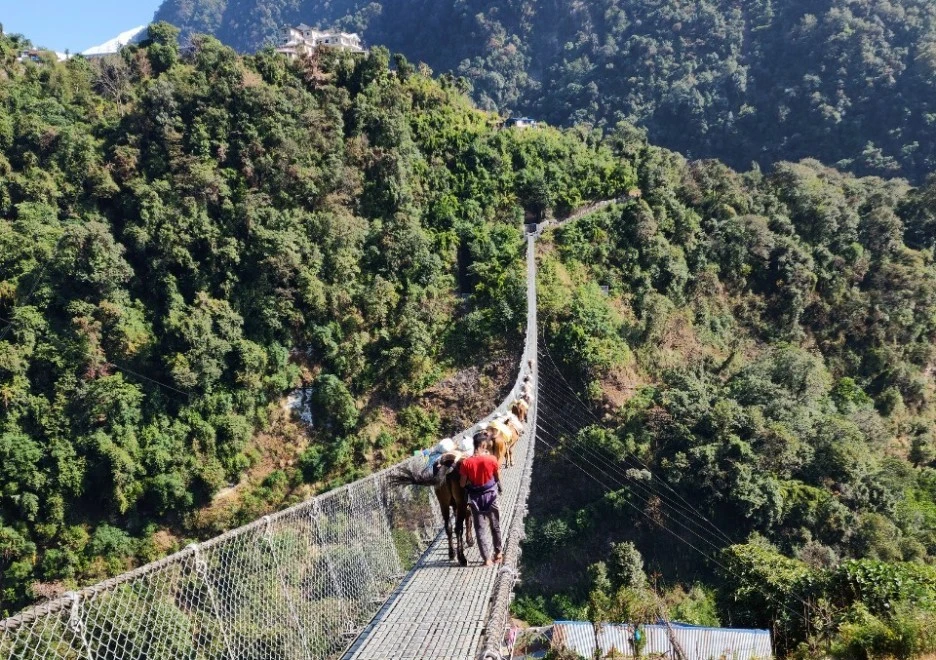 SE-2d2d9016-4a10-403b-90d8-b37b9458bce8.jpg?type=w1