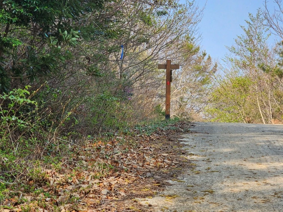 KakaoTalk_20230402_050707846_03.jpg?type=w1