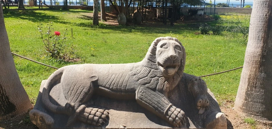 SE-aacc6c6d-7323-4a1f-b9dd-d64374ccc71e.jpg?type=w1