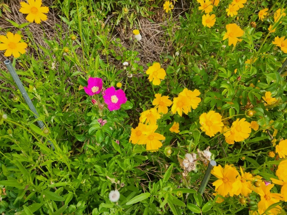 KakaoTalk_20240523_180548992_15.jpg?type=w1