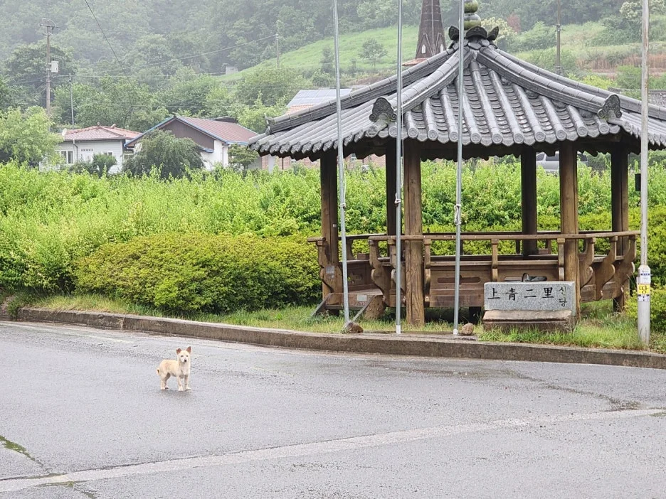 KakaoTalk_20240830_030606138.jpg?type=w1