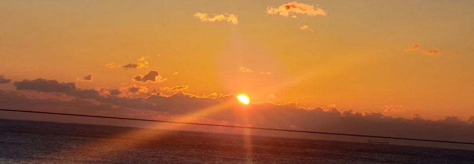 SE-777efb2b-3a72-4e28-b7c5-c44f82b2a04d.jpg?type=w1