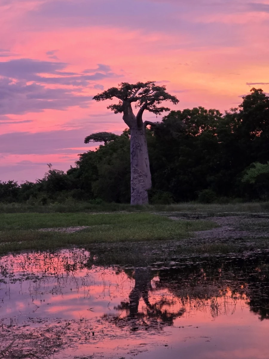 KakaoTalk_20250313_022749096.jpg?type=w1